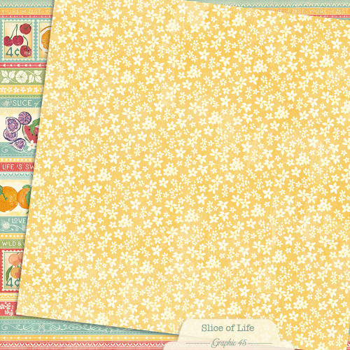 15 Pack - Graphic 45 Slice of Life Double-Sided Cardstock 12"X12"-Silce of Life Borders - 5A003RH5-1HMWR