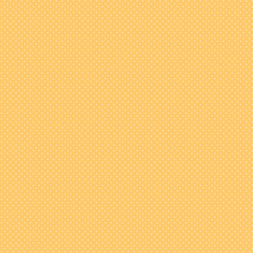 25 Pack - Bella Blvd Adventure Awaits Cardstock 12"X12"-Midnight Fireflies - 5A003RJ9-1HN79