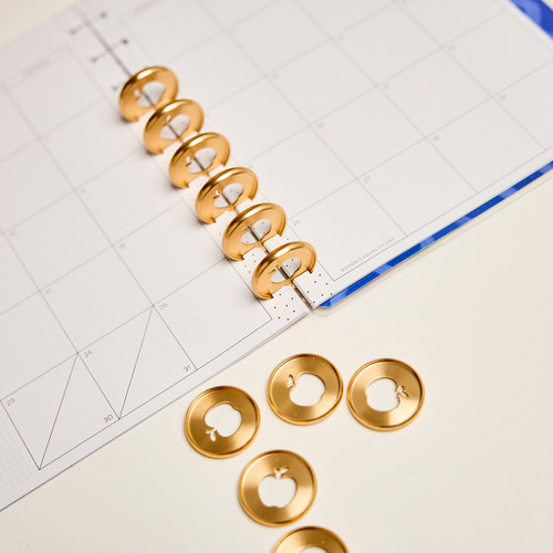 Happy Planner Metal Disc Set-Apple - 5A003LS2-1HH17
