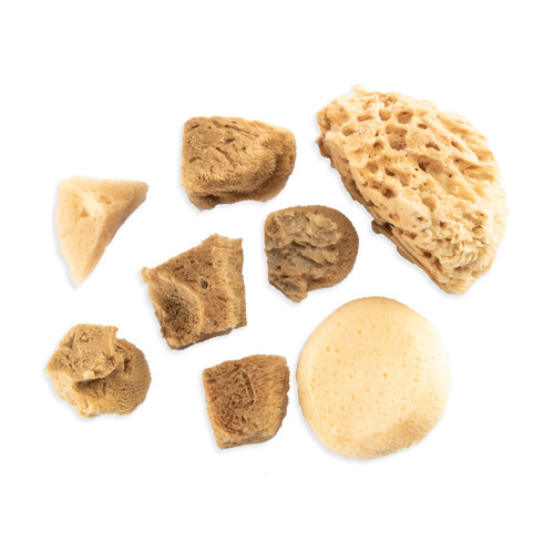 Crafter's Choice Natural & Synthetic Sponge Set 8/pc-100% Natural/100% Synthetic - 5A003LR8-1HH0B