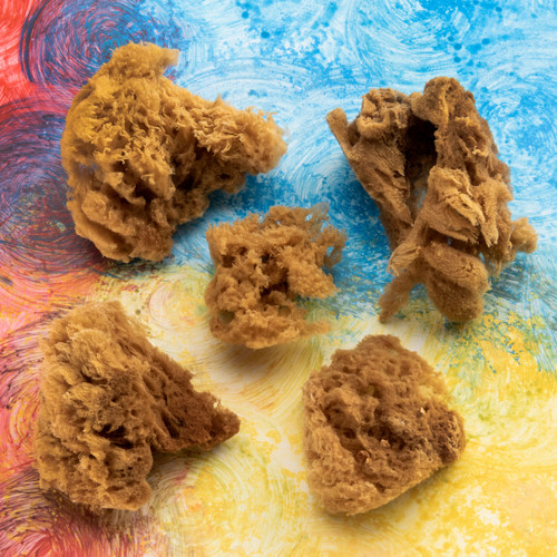 Crafter's Choice Sea Sponge Set 5/pc-100% Natural - 5A003LR7-1HH09 Crafter's Choice Sea Sponge Set 5/pc-100% Natural - 5A003LR7-1HH09