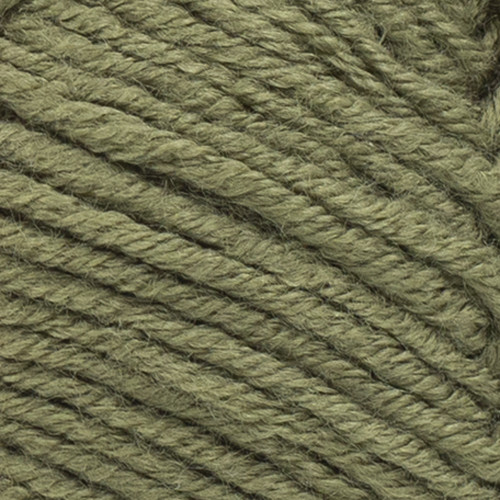 Lion Brand Color Theory Yarn-Caper - 619-173