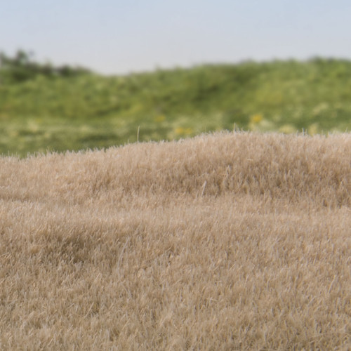 Woodland Scenics Static Grass 2mm-Straw - FS616