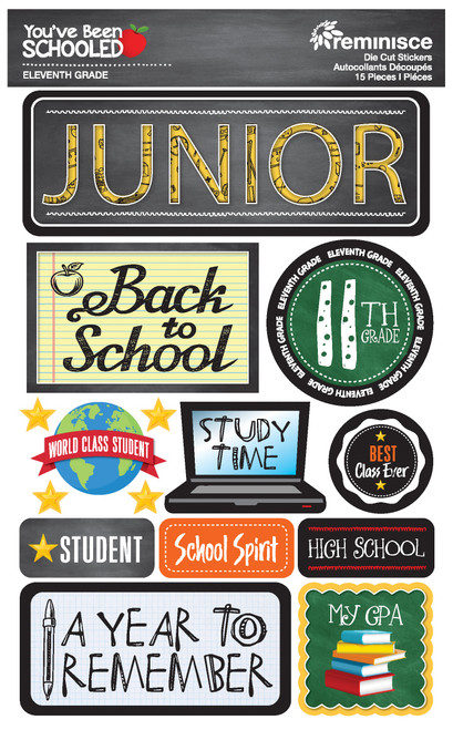 Reminisce You've Been Schooled 3D Dimensional Stickers-11th Grade - YBS4-11 - 819442028318