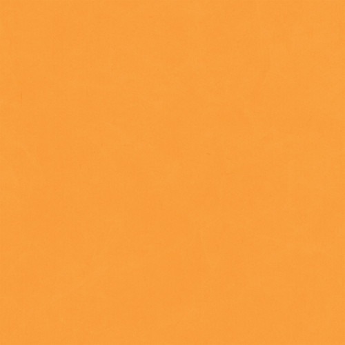 25 Pack - Echo Park Cat Lover Cardstock 12"X12"-Blue/Orange - 5A003QSX-1HM7X
