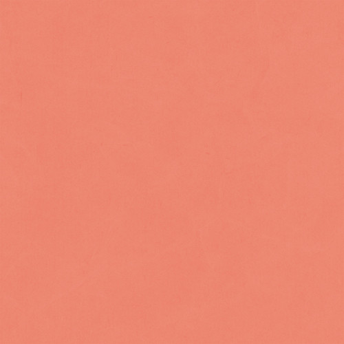 25 Pack - Echo Park Cat Lover Cardstock 12"X12"-Yellow/Pink - 5A003QSX-1HM7L