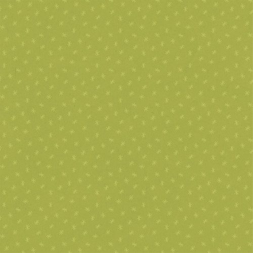 25 Pack - Echo Park Cat Lover Cardstock 12"X12"-Kitty Stripes - 5A003QSX-1HM79