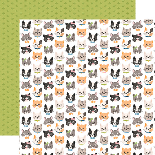 25 Pack - Echo Park Cat Lover Cardstock 12"X12"-Live Love Meow - 5A003QSX-1HM7C - 810208646807
