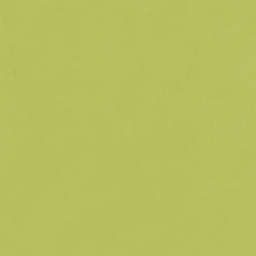 25 Pack - Echo Park Cat Lover Cardstock 12"X12"-Green/Navy - 5A003QSX-1HM7B