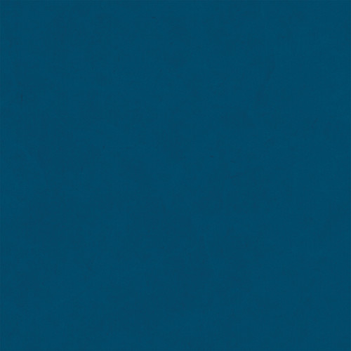 25 Pack - Echo Park Cat Lover Cardstock 12"X12"-Green/Navy - 5A003QSX-1HM7B
