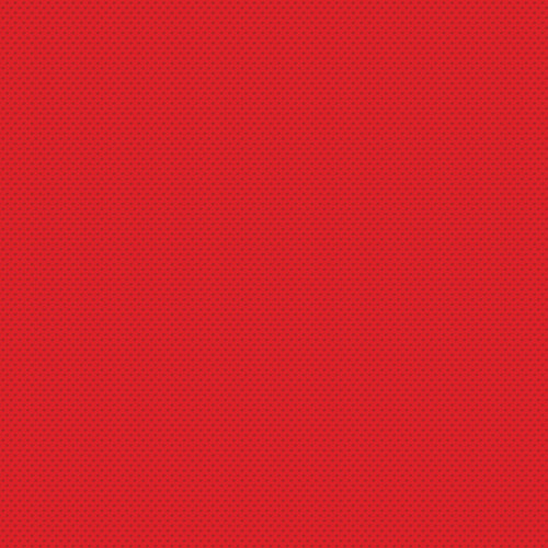 25 Pack - Echo Park Strawberry Fields Cardstock 12"X12"-Strawberry Patch - 5A003QRJ-1HM5S