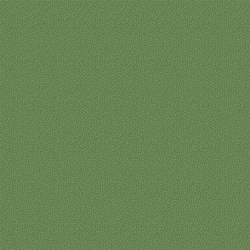 25 Pack - Echo Park Strawberry Fields Cardstock 12"X12"-Picking Patch - 5A003QRJ-1HM5Q