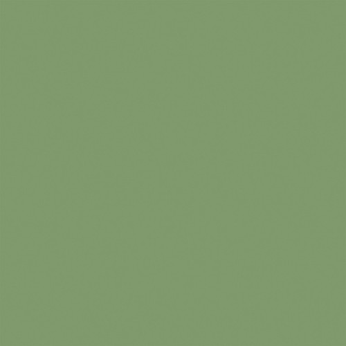 25 Pack - Echo Park Strawberry Fields Cardstock 12"X12"-Blue/Green - 5A003QRJ-1HM62