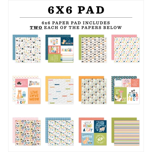 Echo Park Double-Sided Paper Pad 6"X6"-Cat Lover - 5A003QST-1HM7M