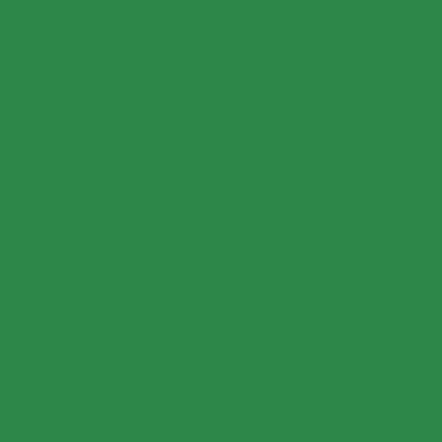 Cricut Iron-On 2FT-Apple Green - 5A003M2W-1HHDT