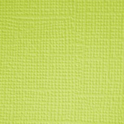 25 Pack - Doodlebug Textured Cardstock 12"X12"-Citrus - DTC-3386 - 842715033863
