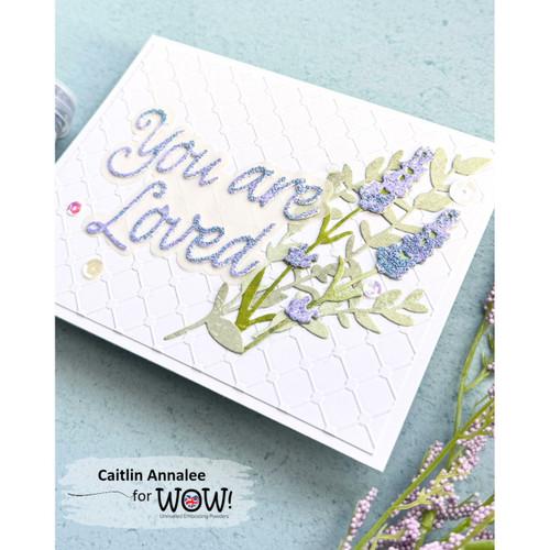 4 Pack - WOW! Embossing Powder 15ml-Wisteria Wonder - WOW-1HQCS