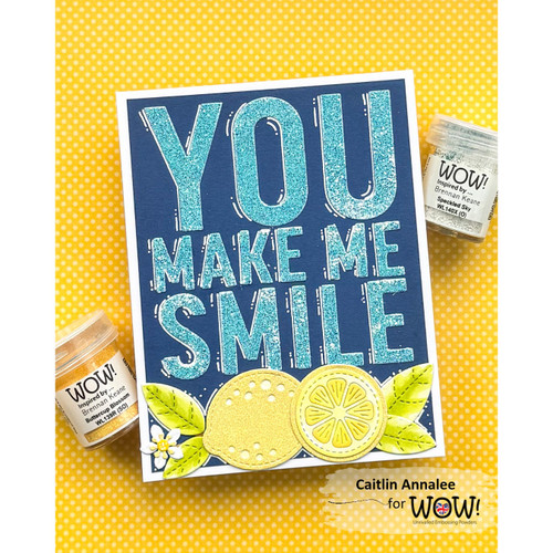 4 Pack - WOW! Embossing Powder 15ml-Speckled Sky - WOW-1HQCT