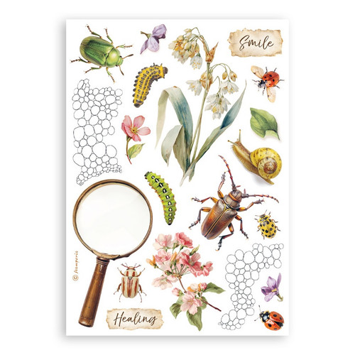 Stamperia A5 Washi Pad 8/Pkg-All Around - 5A003R6S-1HMT9