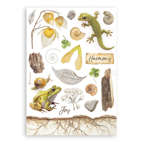 Stamperia A5 Washi Pad 8/Pkg-All Around - 5A003R6S-1HMT9 Stamperia A5 Washi Pad 8/Pkg-All Around - 5A003R6S-1HMT9