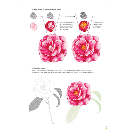 Floral & Botanical Techniques-Hardcover - 5A003T9P-1HQ58 Floral & Botanical Techniques-Hardcover - 5A003T9P-1HQ58
