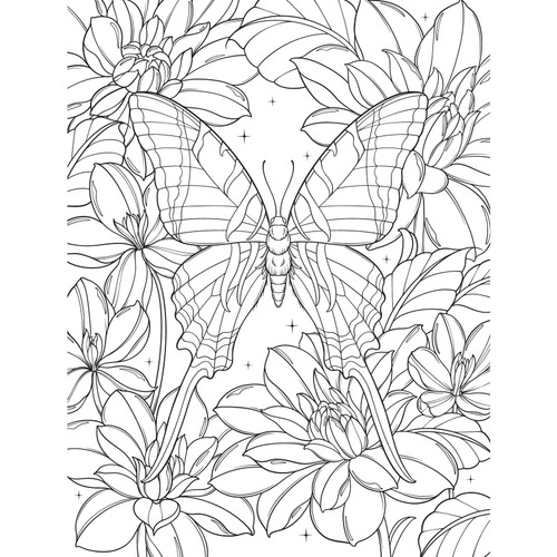 Bugs And Blooms Coloring Book-Softcover - 5A003T9M-1HQ57 Bugs And Blooms Coloring Book-Softcover - 5A003T9M-1HQ57