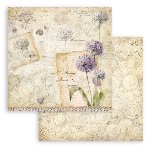 Stamperia Scrapbooking Pad and Art Paper Shapes Bundle-All Around - 5A003R64-1HMTH