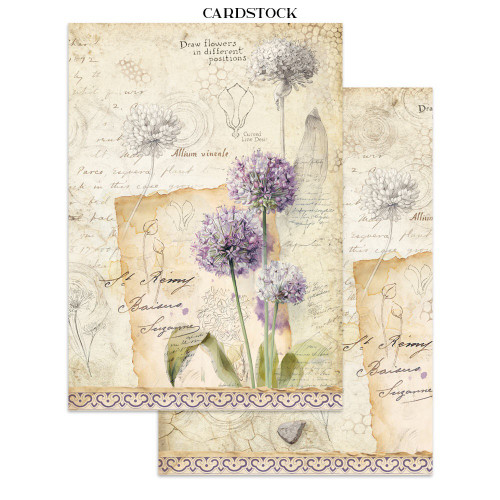 Stamperia Junk Journal Stickers, Cut-outs & Backgrounds-All Around - 5A003R77-1HMVP