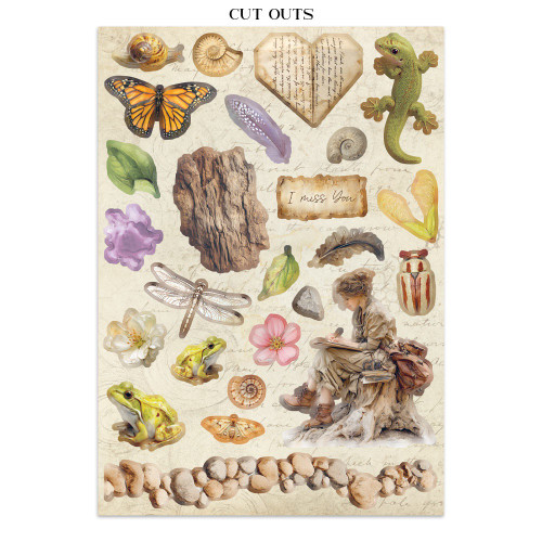 Stamperia Junk Journal Stickers, Cut-outs & Backgrounds-All Around - 5A003R77-1HMVP