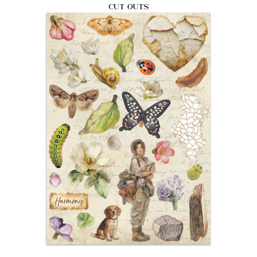 Stamperia Junk Journal Stickers, Cut-outs & Backgrounds-All Around - 5A003R77-1HMVP
