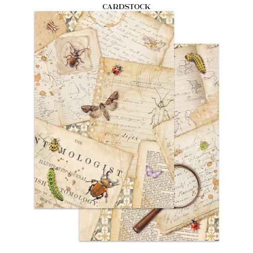 Stamperia Junk Journal Stickers, Cut-outs & Backgrounds-All Around - 5A003R77-1HMVP