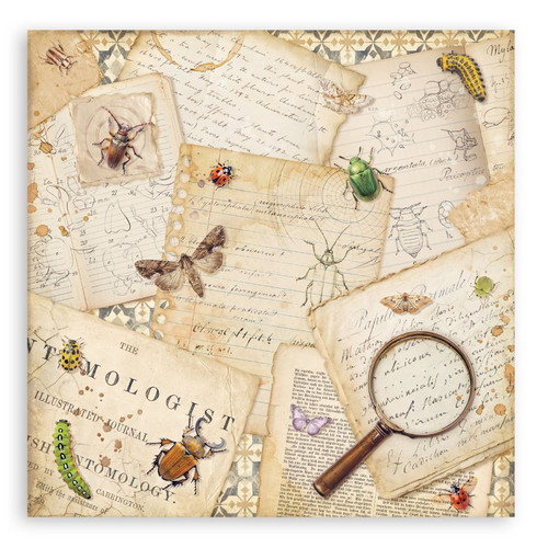 Stamperia Single-Sided Paper Pad 12"x12" 22/Pkg-All Around - 5A003R76-1HMV4 Stamperia Single-Sided Paper Pad 12"x12" 22/Pkg-All Around - 5A003R76-1HMV4