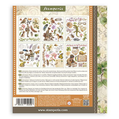 Stamperia Rub-On Selection 8x9 - 6/Pkg-All Around - 5A003R6R-1HMTN