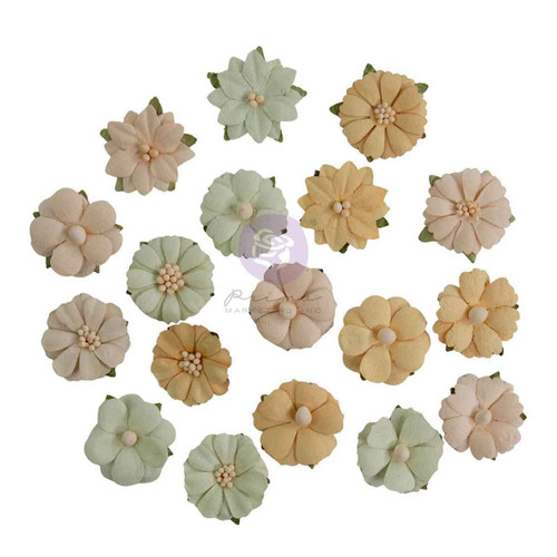 Prima Paper Flowers 18/Pkg-Meadow Petals - 5A003T3V-1HPJ9 - 655350683665