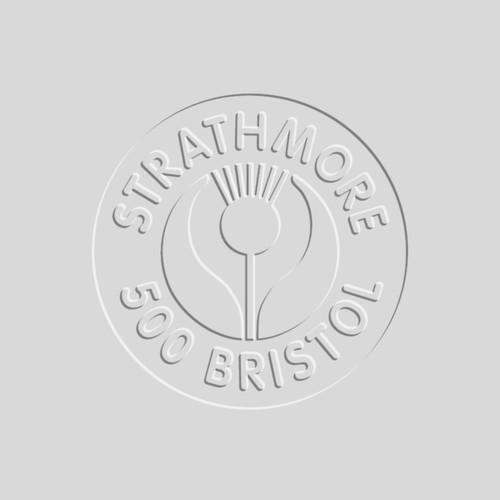 10 Pack - Strathmore 500 Series Bristol Plate 4ply Sheet 23"X29"-Sheet - 5A00367N-1H7DD - 012017562044
