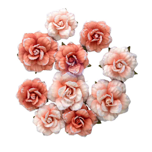 3 Pack - Prima Paper Flowers 10/Pkg-Blush Harvest - 5A003T3T-1HPK5 - 655350683641