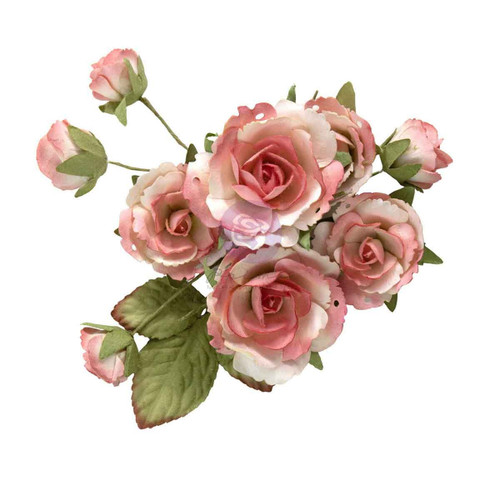 3 Pack - Prima Paper Flowers 10/Pkg-Garden Rose Blush - 5A003T4F-1HPJR