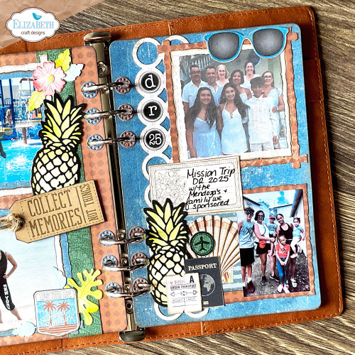 Elizabeth Craft Metal Dies-Summer Vibes - 5A003TGG-1HQD6