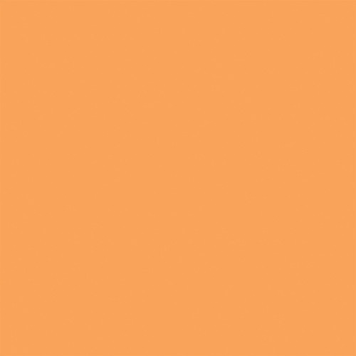 25 Pack - Echo Park Dragonfly Cardstock 12"X12"-Blue / Orange 12x12 Coordinating Solid - 5A003WDW-1HS0N