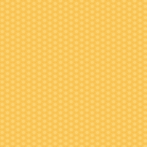 25 Pack - Echo Park Dragonfly Cardstock 12"X12"-Sunny Skies - 5A003WDS-1HS0W