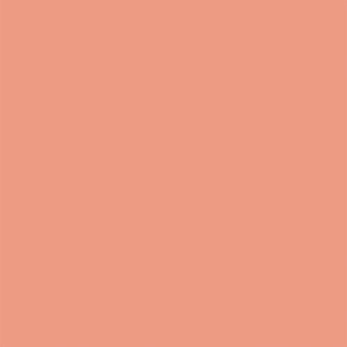 25 Pack - Carta Bella Amsterdam Cardstock 12"X12"-Green / Coral 12x12 Coordinating Solid - 5A003WBC-1HRXK