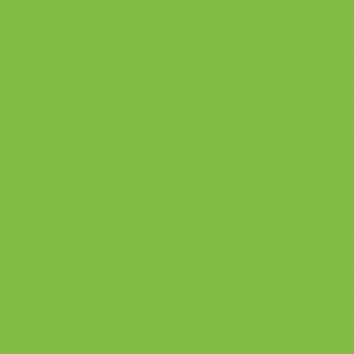 25 Pack - Echo Park Halloween Parade Cardstock 12"X12"-Green / Purple - 5A003VW4-1HRBK