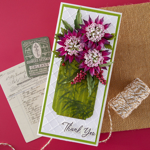 Spellbinders Etched Dies-Astrantia - 5A003XGG-1HSFK