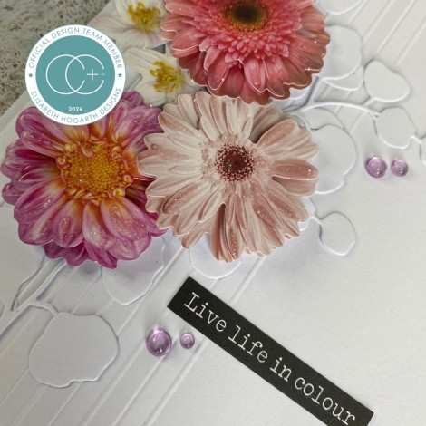 3 Pack - Craft Consortium 3D Decoupage Flowers-Soft Pastel - 5A003VG3-1HR9D