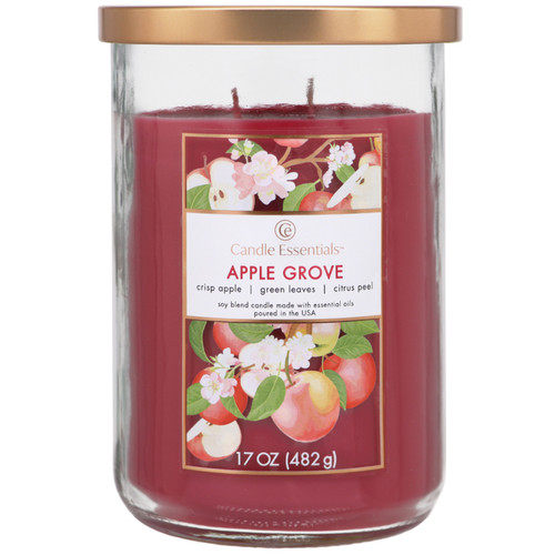 4 Pack - Candle Essentials Candle 2-Wick Soy Wax 17oz-Apple Grove - 5A003S0Y-1HNS4 - 644124748563