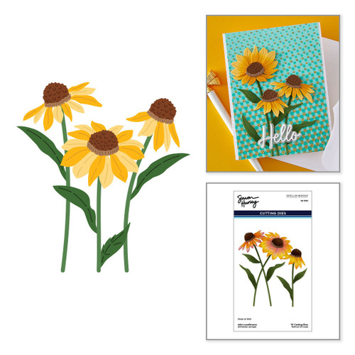 Spellbinders Etched Dies by Simon Hurley-Wild Coneflowers - 5A003XGH-1HSF6