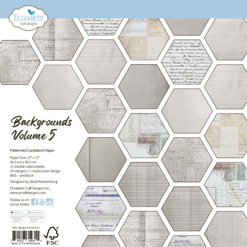 Elizabeth Crafts Double-Sided Cardstock Pack 12"X12"-Backgrounds Volume 5 - 5A003WP2-1HS9H - 741527319311