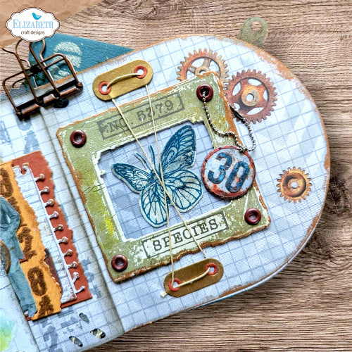 Elizabeth Craft Stamp & Die Set-Where Wings Wander - 5A003WP8-1HS9L