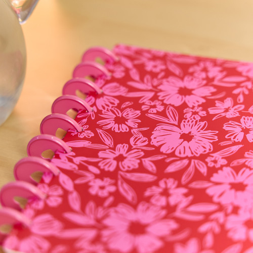 THP Deluxe Classic 12 Month Disc Bound Undated Planner-Sunshine Splash - 5A003K6Y-1HFJY
