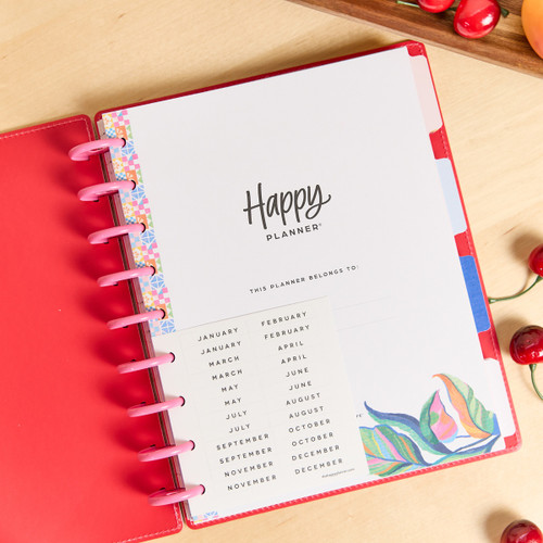 THP Deluxe Classic 12 Month Disc Bound Undated Planner-Sunshine Splash - 5A003K6Y-1HFJY
